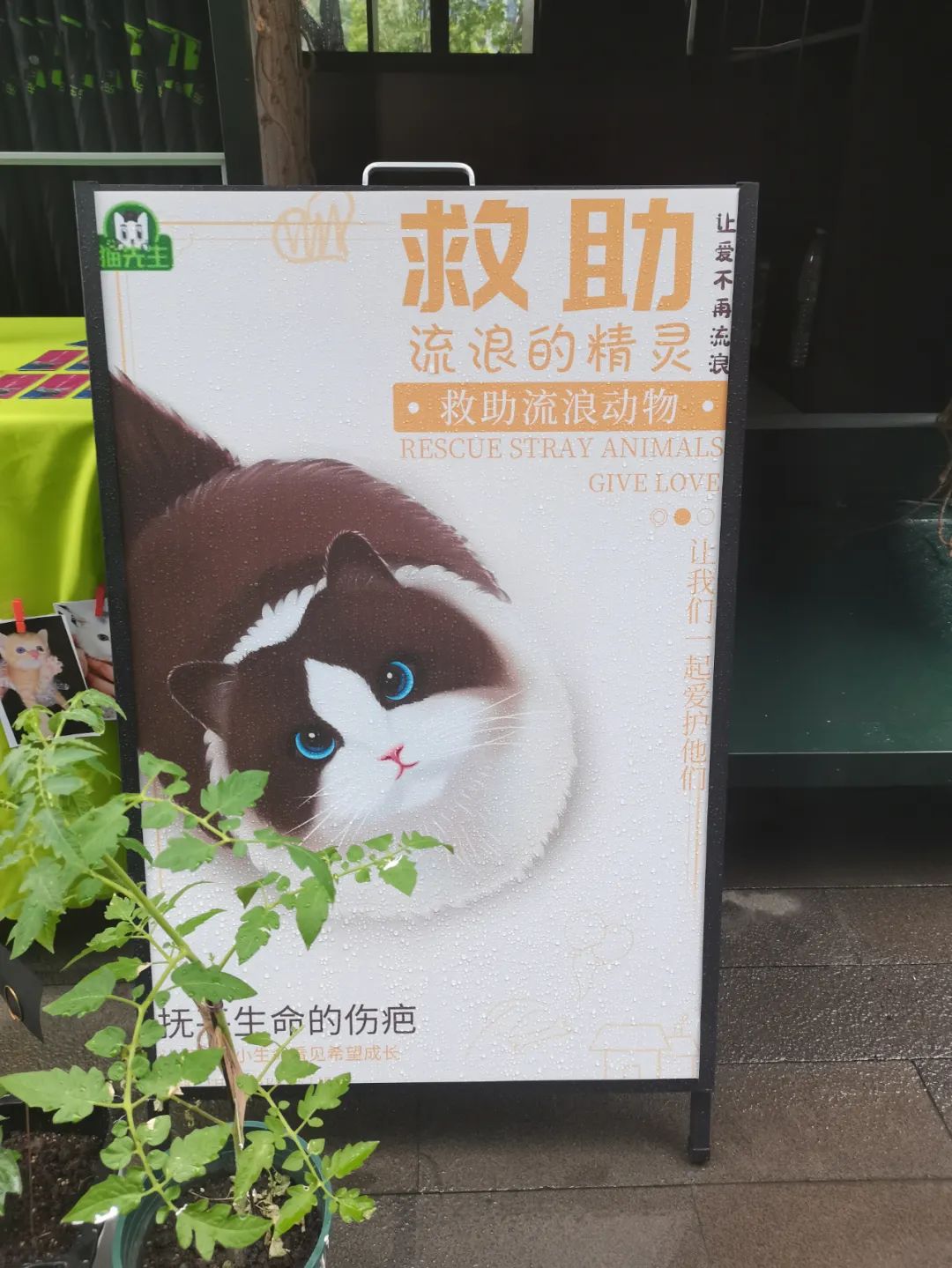 垃圾分類運營方案、智能分類設(shè)備廠家.jpg